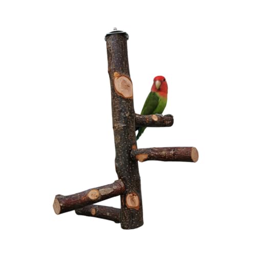 YARNOW Vogel Stehen vogelstange papageienspielzeug Parrot Toys Holzspielzeug für Papageien Vogelspielzeug Spielzeuge Papageienständer Vögel Spielzeug Apfelholz Trainingsgestell Hölzern von YARNOW