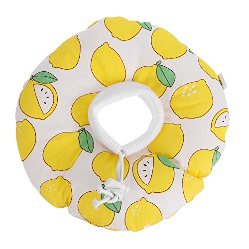 YARNOW Weiches Verstellbares Katzenhalsband mit Kegeln Weiße Katzenkegel um Das Lecken zu Stoppen Wasserdichter Elisabethanischer für Katzen Kätzchen Welpen Kaninchen Extra Klein YARNOW Weiches Verstellbares Katzenhalsband mit Kegeln Weiße Katzenkegel um Das Lecken zu Stoppen Wasserdichter Elisabethanischer für Katzen Kätzchen Welpen Kaninchen Extra Klein von YARNOW