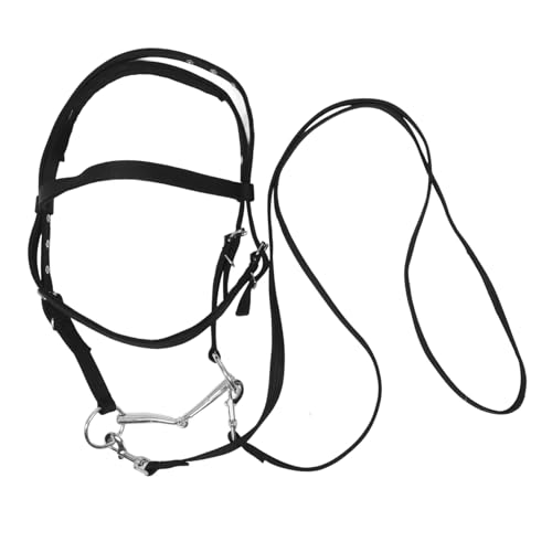 YARNOW Rope Halter Für Pferde Verstellbar Und Für Und Tägliche Nutzung Strapazierfähiges Nylon Geeignet Für Kleine Ergonomisches Design Für Optimale YARNOW Rope Halter Für Pferde Verstellbar Und Für Und Tägliche Nutzung Strapazierfähiges Nylon Geeignet Für Kleine Ergonomisches Design Für Optimale von YARNOW
