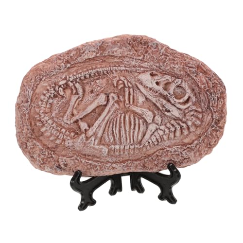 YARNOW Einzigartiges Trilobiten- Reptilien-felsornament Für Echsenbecken Dinosaurier-exemplarstein Für Reptilienfans von YARNOW