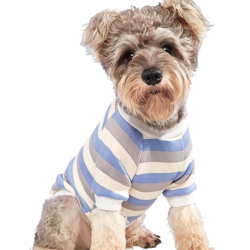 Hunde-T-Shirt, gestreift, warm, Samt, Sweatshirt, Haustiere, kontrastierender Kapuzenpullover, Kleidung für Katzen, Blau gestreift, Größe M von YASREKUYI