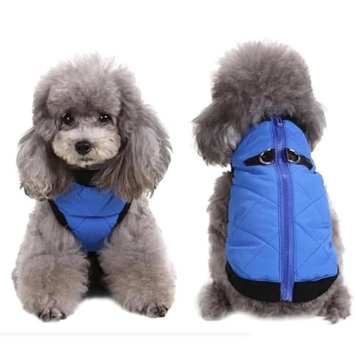 Haustierkleidung Winter Haustier Hund Kleidung wasserdichte Zipper Jacke for Kleine Warm Puppy Mantel Freizeit(Red,XL) von YATINGZHANG