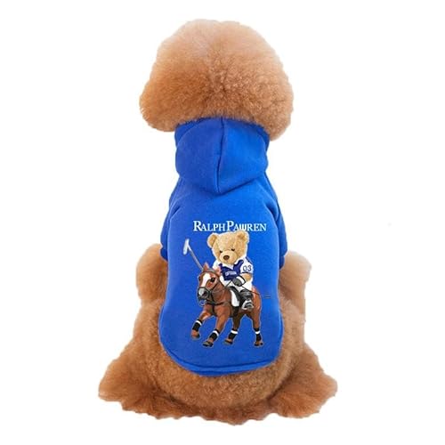 Haustierkleidung Winter warme Haustier Hund Kleidung süße Bär Hunde Hoodies for Welpen kleine mittelgroße(Blue,XXL) von YATINGZHANG