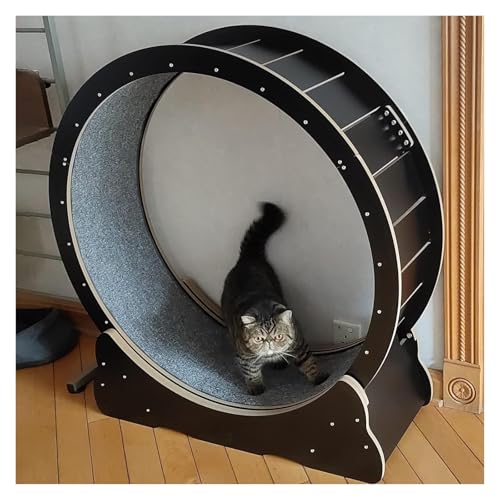 Katzenlaufband，Katzenlaufrad， Duty Cat Wheel Übungslaufband Schwarz Leise Kleine Mittlere Große Katzenlaufband Katzenkratzbrett(L-Inner Diameter 100cm(39 3/8")) von YAYREC