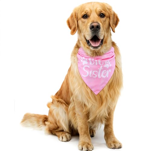 YBEATY Hundehalstuch, Motiv: Big Sister, Rosa, Haustier-Halstuch, Zubehör, Haustier, Katze, Baby, Ankündigung, bunt, waschbar, Dreieckstuch, lustiges Haustier-Halstuch, Zubehör für kleine, mittelgroße YBEATY Hundehalstuch, Motiv: Big Sister, Rosa, Haustier-Halstuch, Zubehör, Haustier, Katze, Baby, Ankündigung, bunt, waschbar, Dreieckstuch, lustiges Haustier-Halstuch, Zubehör für kleine, mittelgroße von YBEATY