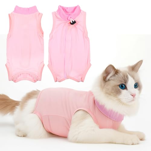 YBEATY Katzen-Genesungsanzug, Spay, Bauchwunden, Hautkrankheiten, Kätzchen-Einteiler, Body, atmungsaktiv, Alternative für Katzen, Anti-Lecken, nach Operationen YBEATY Katzen-Genesungsanzug, Spay, Bauchwunden, Hautkrankheiten, Kätzchen-Einteiler, Body, atmungsaktiv, Alternative für Katzen, Anti-Lecken, nach Operationen von YBEATY