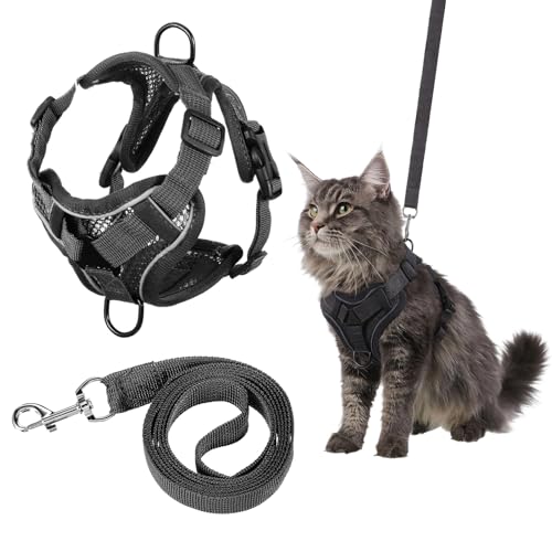YBEATY Katzengeschirr und Leine, Anti-Ausbruch-Geschirr, Leine, weiches Netzgewebe, Katzen-Leinen, Brustgeschirr, grau, verstellbar, für alle Arten von Kätzchen, Westen, einfach zu tragen von YBEATY