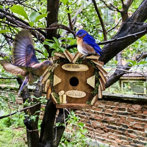 YCHTEWY - Natürliches Vogelhaus aus Holz für den Außenbereich, für Kardinäle, hängendes Gartenvogelhaus zum Beobachten YCHTEWY - Natürliches Vogelhaus aus Holz für den Außenbereich, für Kardinäle, hängendes Gartenvogelhaus zum Beobachten von YCHTEWY