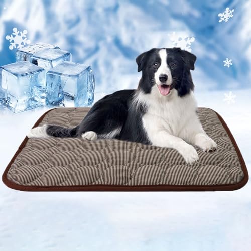 YCYATS Nordseepfote KüHlmatte, KüHlmatte FüR Den Sommer, SelbstküHlende KüHlmatte FüR Hunde, KüHlmatte FüR Katzen, KüHlmatte FüR Hunde Zu Hause, Unterwegs Oder Im Auto (Braun, M (62 * 50 cm)) YCYATS Nordseepfote KüHlmatte, KüHlmatte FüR Den Sommer, SelbstküHlende KüHlmatte FüR Hunde, KüHlmatte FüR Katzen, KüHlmatte FüR Hunde Zu Hause, Unterwegs Oder Im Auto (Braun, M (62 * 50 cm)) von YCYATS