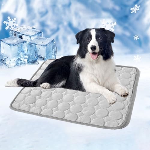 YCYATS Nordseepfote KüHlmatte, KüHlmatte FüR Den Sommer, SelbstküHlende KüHlmatte FüR Hunde, KüHlmatte FüR Katzen, KüHlmatte FüR Hunde Zu Hause, Unterwegs Oder Im Auto (Grau, XXL (150 * 100 cm)) YCYATS Nordseepfote KüHlmatte, KüHlmatte FüR Den Sommer, SelbstküHlende KüHlmatte FüR Hunde, KüHlmatte FüR Katzen, KüHlmatte FüR Hunde Zu Hause, Unterwegs Oder Im Auto (Grau, XXL (150 * 100 cm)) von YCYATS