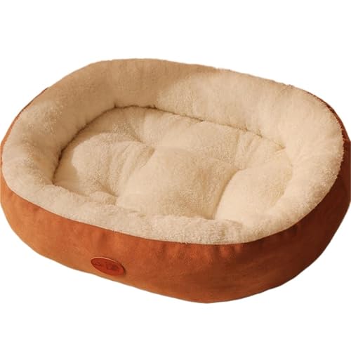 YDYAENIO Hundebett, waschbar, Zwinger, Vier-Jahreszeiten-Haustier, großes Sofa Plus Dickes Samt-Tiefschlafkissen, Welpenmatte for kleine Hunde(Brown,S) von YDYAENIO