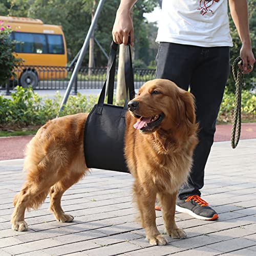 Hundestütze, Rutschfester Griff, 4 Größen mit Hebegriff und Einfach zu Bedienender Hundehilfe, für Hundehelfer für Hunde (S) von YDuupxe