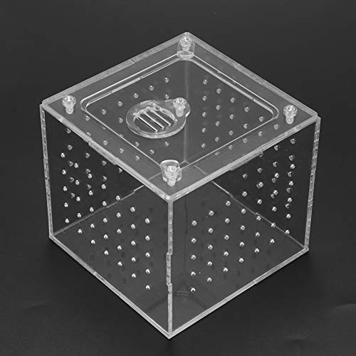 YDuupxe Transparente Acryl-Reptilien-Zuchtbox, Zuchtbox für Geckos, Vogelspinnen, Grillen, Schnecken YDuupxe Transparente Acryl-Reptilien-Zuchtbox, Zuchtbox für Geckos, Vogelspinnen, Grillen, Schnecken von YDuupxe