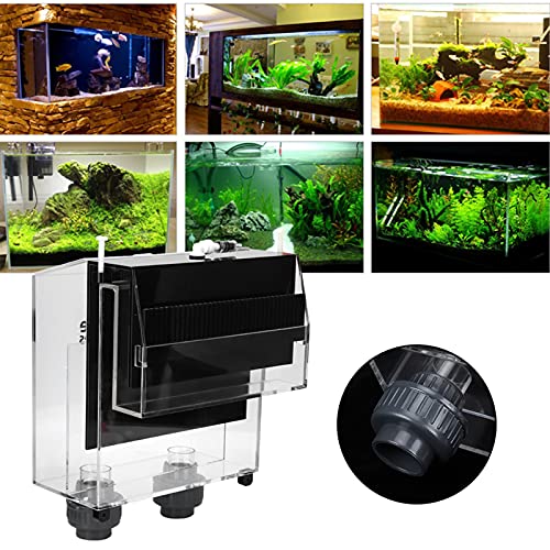 Überlaufkasten, Elf-Start-Überlaufkasten, Siphon mit Hoher Lichtdurchlässigkeit für Fische Überlaufkasten, Elf-Start-Überlaufkasten, Siphon mit Hoher Lichtdurchlässigkeit für Fische von YDuupxe