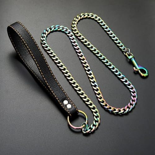 18 K bunt beschichtetes Edelstahl-Hundehalsband für mittelgroße und große Hunde, Pitbull Rottweiler, Haustierzubehör 18 K bunt beschichtetes Edelstahl-Hundehalsband für mittelgroße und große Hunde, Pitbull Rottweiler, Haustierzubehör von YEAG