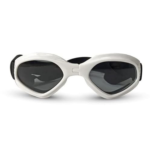 6 Farben Nette Haustier Hund Sonnenbrille Sonnenbrille Haustier Katze Brille Augenkleidung Welpen Augenschutz Haustier Pflege Zubehör Haustier Dekoration 6 Farben Nette Haustier Hund Sonnenbrille Sonnenbrille Haustier Katze Brille Augenkleidung Welpen Augenschutz Haustier Pflege Zubehör Haustier Dekoration von YEAG