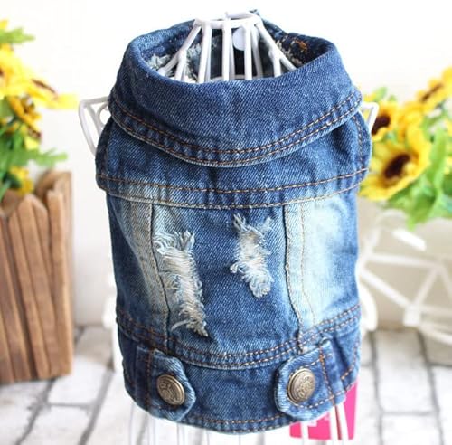 Denim-Katzenkleidung für Katzen, Katzen, Mantel, Jeans, Jacke, lässige Outfits, Kleidung für Kätzchen, kleine Hunde, Chihuahua, französische Bulldogge von YEAG