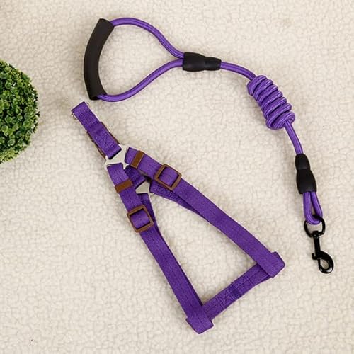 Große Haustiere Traktionsseil 2-teiliges Set Katzenhalsband Brustgurt Kleine und mittlere Größe Hund Walking Seil Hundekette Haustier Zubehör Große Haustiere Traktionsseil 2-teiliges Set Katzenhalsband Brustgurt Kleine und mittlere Größe Hund Walking Seil Hundekette Haustier Zubehör von YEAG