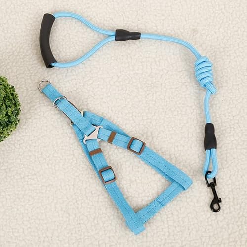 Große Haustiere Traktionsseil 2-teiliges Set Katzenhalsband Brustgurt Kleine und mittlere Größe Hund Walking Seil Hundekette Haustier Zubehör Große Haustiere Traktionsseil 2-teiliges Set Katzenhalsband Brustgurt Kleine und mittlere Größe Hund Walking Seil Hundekette Haustier Zubehör von YEAG