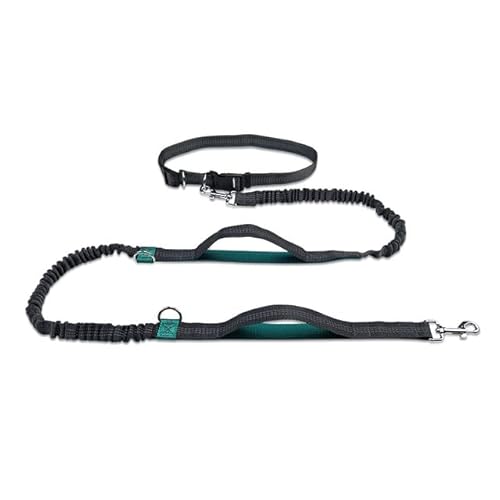 Hand-Hundeleine, elastischer Hundelaufgürtel, Haustier-Bungee-Seil, reflektierend, Jop-Hundetraining, für mittelgroße und große Hundezubehör Hand-Hundeleine, elastischer Hundelaufgürtel, Haustier-Bungee-Seil, reflektierend, Jop-Hundetraining, für mittelgroße und große Hundezubehör von YEAG