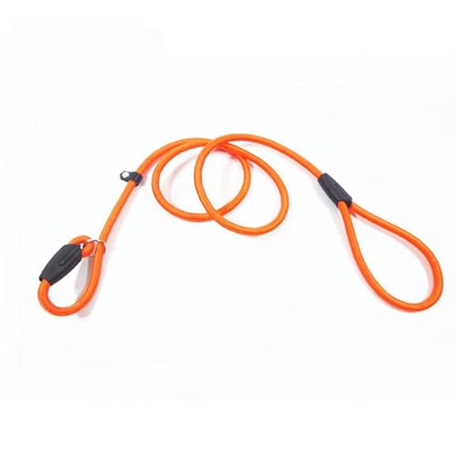 Haustier-Hundeleine Nylon-Trainingsleine für Hunde, Spazierengehen, Traktionsseil, Hundegeschirr, Halsband, Haustierprodukte Haustier-Hundeleine Nylon-Trainingsleine für Hunde, Spazierengehen, Traktionsseil, Hundegeschirr, Halsband, Haustierprodukte von YEAG