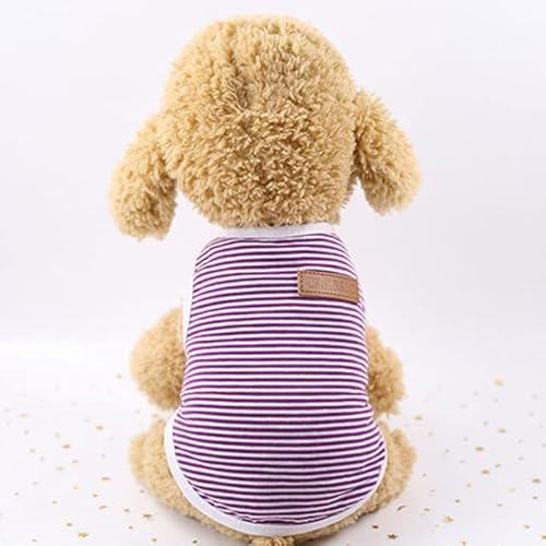 Haustier-Kleidung für Katzen, Ropa, Para, Gato, Katten, Kleding, Kedi, Giyim, Katzen, Kleidung für Haustiere, Outfit Haustier-Kleidung für Katzen, Ropa, Para, Gato, Katten, Kleding, Kedi, Giyim, Katzen, Kleidung für Haustiere, Outfit von YEAG