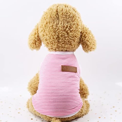 Haustier-Kleidung für Katzen, Ropa, Para, Gato, Katten, Kleding, Kedi, Giyim, Katzen, Kleidung für Haustiere, Outfit Haustier-Kleidung für Katzen, Ropa, Para, Gato, Katten, Kleding, Kedi, Giyim, Katzen, Kleidung für Haustiere, Outfit von YEAG