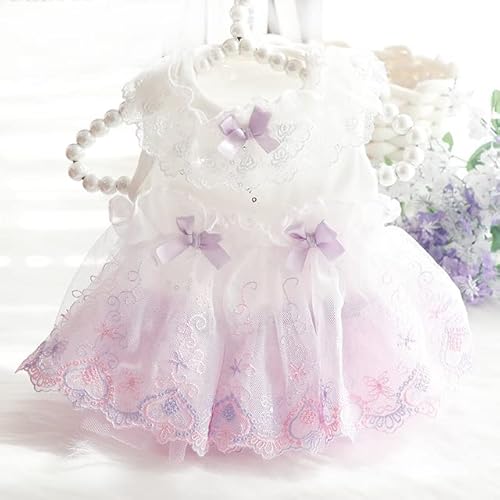 Hunde-Hochzeitskleid, Katzenrock, Sommerkleid, Tutu, Chihuahua, Yorkshire Terrier, Zwergspitz, Bichon, Frisé, Pudel Hunde-Hochzeitskleid, Katzenrock, Sommerkleid, Tutu, Chihuahua, Yorkshire Terrier, Zwergspitz, Bichon, Frisé, Pudel von YEAG