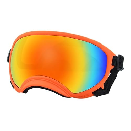 Hundebrille, verstellbar, für kleine, mittelgroße und große Hunde, Welpen, Skifahren, Augenschutz, Haustierbedarf Hundebrille, verstellbar, für kleine, mittelgroße und große Hunde, Welpen, Skifahren, Augenschutz, Haustierbedarf von YEAG