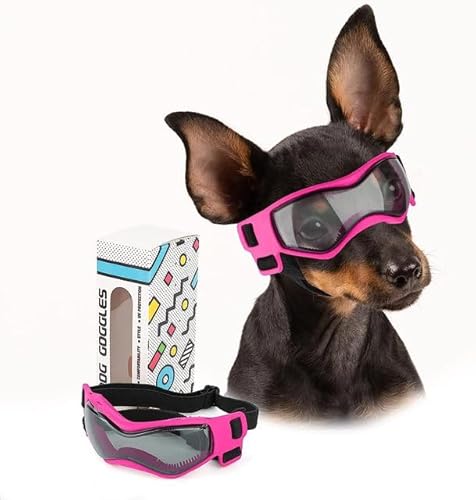Hundebrille für kleine Rassen, Hunde-Sonnenbrille, UV-Schutz, Windschutz für kleine Hunde, Hundezubehör Hundebrille für kleine Rassen, Hunde-Sonnenbrille, UV-Schutz, Windschutz für kleine Hunde, Hundezubehör von YEAG