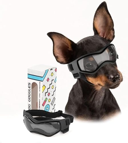 Hundebrille für kleine Rassen, Hunde-Sonnenbrille, UV-Schutz, Windschutz für kleine Hunde, Hundezubehör Hundebrille für kleine Rassen, Hunde-Sonnenbrille, UV-Schutz, Windschutz für kleine Hunde, Hundezubehör von YEAG