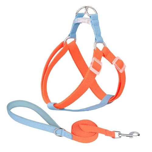 Hundegeschirr, Leine, Halsband-Set, kein Ziehen, verstellbar, Nylon, für kleine und große Hunde, Leine, französische Bulldogge, Spaziergänge Hundegeschirr, Leine, Halsband-Set, kein Ziehen, verstellbar, Nylon, für kleine und große Hunde, Leine, französische Bulldogge, Spaziergänge von YEAG