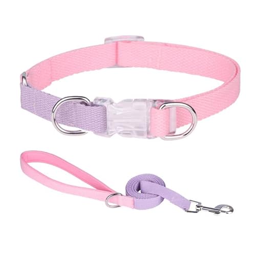 Hundegeschirr, Leine, Halsband-Set, kein Ziehen, verstellbar, Nylon, für kleine und große Hunde, Leine, französische Bulldogge, Spaziergänge von YEAG