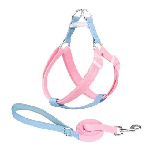 Hundegeschirr, Leine, Halsband-Set, kein Ziehen, verstellbar, Nylon, für kleine und große Hunde, Leine, französische Bulldogge, Spaziergänge Hundegeschirr, Leine, Halsband-Set, kein Ziehen, verstellbar, Nylon, für kleine und große Hunde, Leine, französische Bulldogge, Spaziergänge von YEAG