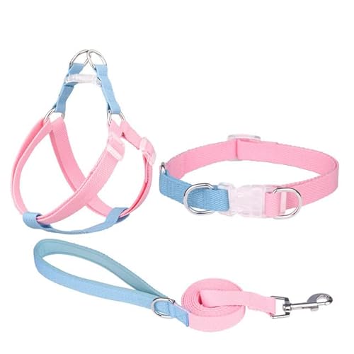 Hundegeschirr, Leine, Halsband-Set, kein Ziehen, verstellbar, Nylon, für kleine und große Hunde, Leine, französische Bulldogge, Spaziergänge Hundegeschirr, Leine, Halsband-Set, kein Ziehen, verstellbar, Nylon, für kleine und große Hunde, Leine, französische Bulldogge, Spaziergänge von YEAG
