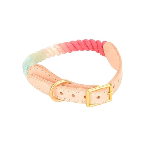 Hundehalsband, Leine, Set, personalisierte Haustier-Halskette, kleine, mittelgroße und große Hundehalsbänder, Pitbull, Beagle, Spazierengehen, Wandern, Leine, Seile für Hunde Hundehalsband, Leine, Set, personalisierte Haustier-Halskette, kleine, mittelgroße und große Hundehalsbänder, Pitbull, Beagle, Spazierengehen, Wandern, Leine, Seile für Hunde von YEAG