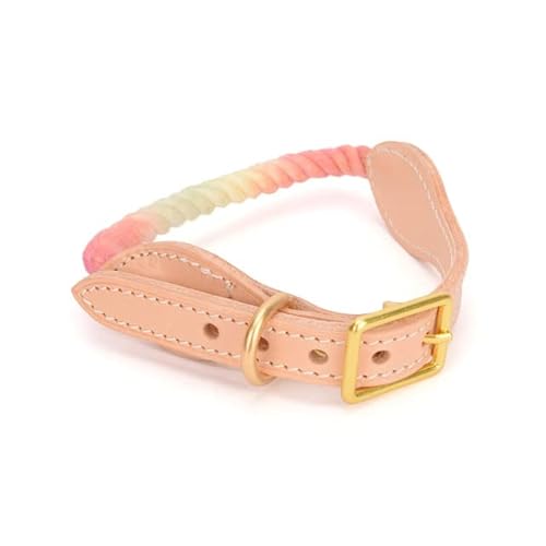 Hundehalsband, Leine, Set, personalisierte Haustier-Halskette, kleine, mittelgroße und große Hundehalsbänder, Pitbull, Beagle, Spazierengehen, Wandern, Leine, Seile für Hunde Hundehalsband, Leine, Set, personalisierte Haustier-Halskette, kleine, mittelgroße und große Hundehalsbänder, Pitbull, Beagle, Spazierengehen, Wandern, Leine, Seile für Hunde von YEAG