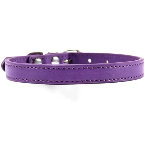 Hundehalsband, PU-Leder, weich, einfarbig, verstellbar, für kleine und mittelgroße und große Hunde, 16 Farben Hundehalsband, PU-Leder, weich, einfarbig, verstellbar, für kleine und mittelgroße und große Hunde, 16 Farben von YEAG
