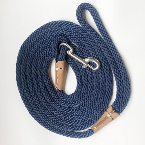 Hundeleine, 2 m, 3 m, 5 m, 10 m, lange Hundeleine, strapazierfähig, für kleine, mittelgroße und große Hunde Hundeleine, 2 m, 3 m, 5 m, 10 m, lange Hundeleine, strapazierfähig, für kleine, mittelgroße und große Hunde von YEAG