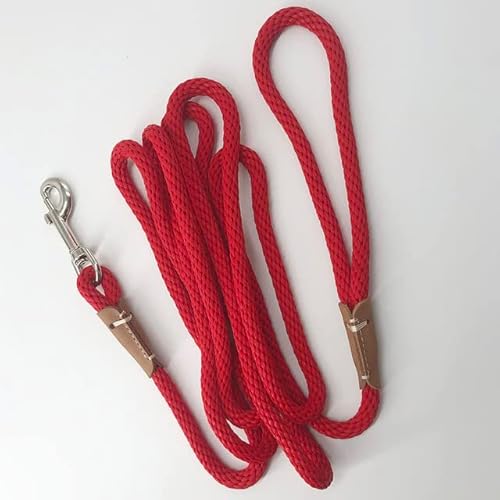 Hundeleine, 2 m, 3 m, 5 m, 10 m, lange Hundeleine, strapazierfähig, für kleine, mittelgroße und große Hunde Hundeleine, 2 m, 3 m, 5 m, 10 m, lange Hundeleine, strapazierfähig, für kleine, mittelgroße und große Hunde von YEAG