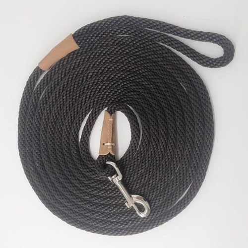 Hundeleine, 2 m, 3 m, 5 m, 10 m, lange Hundeleine, strapazierfähig, für kleine, mittelgroße und große Hunde Hundeleine, 2 m, 3 m, 5 m, 10 m, lange Hundeleine, strapazierfähig, für kleine, mittelgroße und große Hunde von YEAG