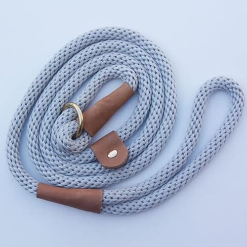 Hundeleine, Nylonseil, Leder-Trainingsleine für kleine, mittelgroße und große Hunde, 1,27 cm x 1,5 m Hundeleine, Nylonseil, Leder-Trainingsleine für kleine, mittelgroße und große Hunde, 1,27 cm x 1,5 m von YEAG