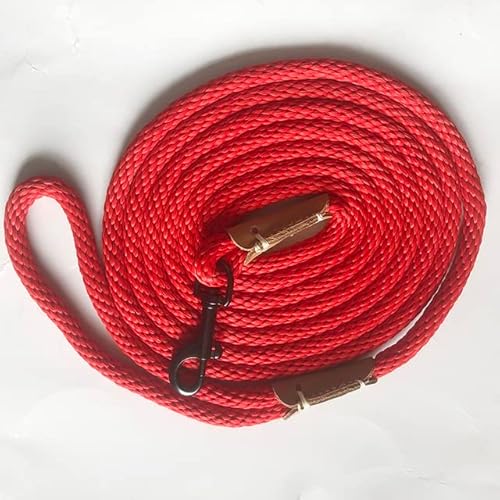 Hundeleine, klein, groß, für Welpen, Nylon, Seil, Schlepptraining, Gehorsamkeit, lange Schnur, 2 m, 3 m, 5 m, 10 m Hundeleine, klein, groß, für Welpen, Nylon, Seil, Schlepptraining, Gehorsamkeit, lange Schnur, 2 m, 3 m, 5 m, 10 m von YEAG