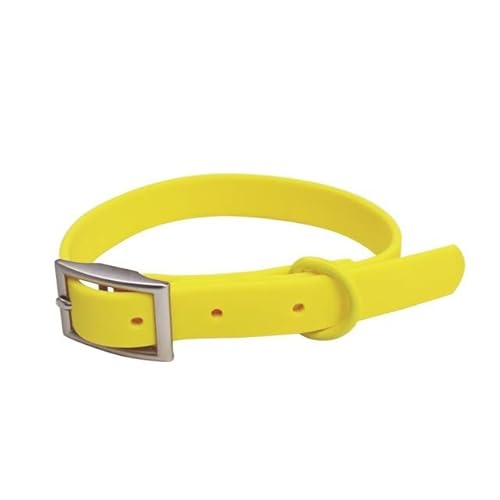 Hundeleine, wasserdicht, PVC, für kleine und mittelgroße Hunde, bissfest, Brustgurt, Hundeleine Hundeleine, wasserdicht, PVC, für kleine und mittelgroße Hunde, bissfest, Brustgurt, Hundeleine von YEAG