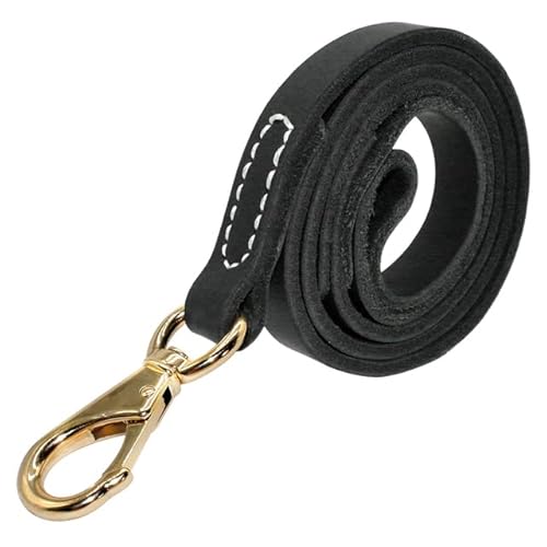 Hundeleine aus echtem Leder, für große Hunde, Trainingsleine, 110 cm lang, 1,6 cm breit, 2 cm, Schwarz / Braun Hundeleine aus echtem Leder, für große Hunde, Trainingsleine, 110 cm lang, 1,6 cm breit, 2 cm, Schwarz / Braun von YEAG