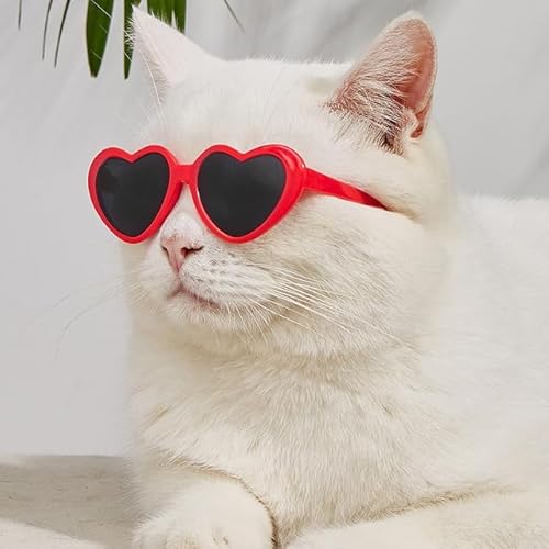 Katze Sonnenbrille Schöne Vintage Runde Haustier Brille Reflexion Hund Sonnenbrille Pet Eye Wear Brille Lustige Requisiten Zubehör Katze Sonnenbrille Schöne Vintage Runde Haustier Brille Reflexion Hund Sonnenbrille Pet Eye Wear Brille Lustige Requisiten Zubehör von YEAG