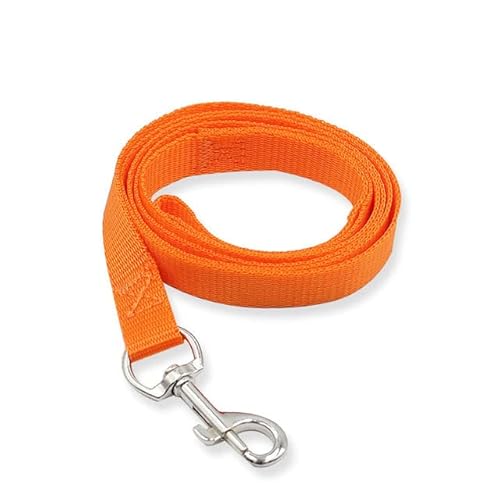 Kleine Hundeleine aus Nylon, für Welpen, Hunde, Katzen, Laufen, Leine, Trainingsleine in 7 Farben Kleine Hundeleine aus Nylon, für Welpen, Hunde, Katzen, Laufen, Leine, Trainingsleine in 7 Farben von YEAG
