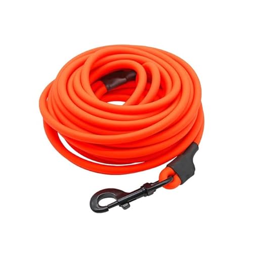 Lange Hundeleine, klein, groß, für Welpen, Haustiere, Schlepptraining, Gehorsamkeit, wasserdicht, PVC-Leine, leicht zu reinigen, 5 m 10 m Lange Hundeleine, klein, groß, für Welpen, Haustiere, Schlepptraining, Gehorsamkeit, wasserdicht, PVC-Leine, leicht zu reinigen, 5 m 10 m von YEAG
