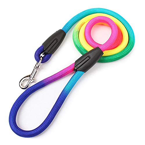 Langlebige Nylon-Hundeleine, Regenbogenfarben, 1,2 m, für Spaziergänge, Trainingsleine, Katzen, Hundegeschirr, Halsband, Leinen, Gurtseil von YEAG