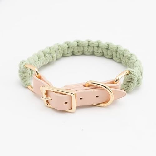 Leder-Hundehalsband, Leine, Set, luxuriös, handgestrickte Hundeleine, weich, für Welpen, Training, Wandern, Seile für Hunde Leder-Hundehalsband, Leine, Set, luxuriös, handgestrickte Hundeleine, weich, für Welpen, Training, Wandern, Seile für Hunde von YEAG